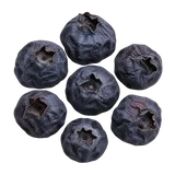 Ganze Heidelbeeren
