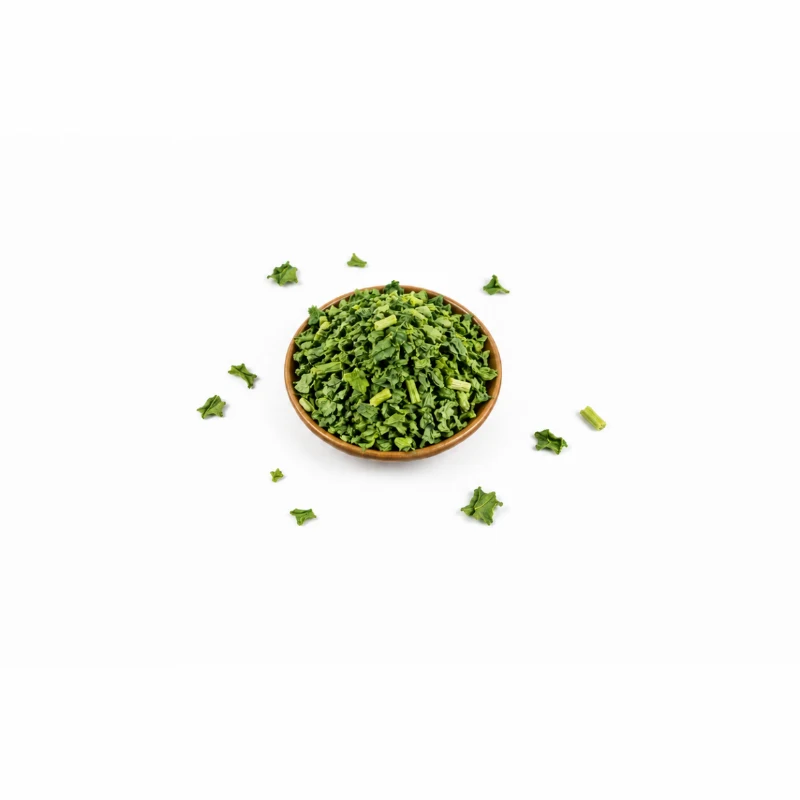 Freeze-Dried Coriander Leaves